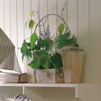 Potted Plant Support Frame Decor Round Metal Trellis for Climbing Plants Butterfly Style