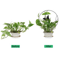 Potted Plant Support Frame Decor Round Metal Trellis for Climbing Plants Butterfly Style