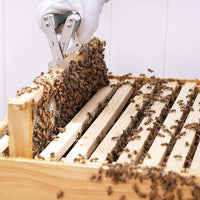 8PCS Beekeeping Equipment Tool Set Bee Hive Smoker Hive Scraper Tool