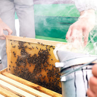 8PCS Beekeeping Equipment Tool Set Bee Hive Smoker Hive Scraper Tool