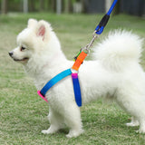Pet Harness Pet Collar with Leash Set Dog Walking Vest for Cat Puppy