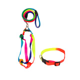 Pet Harness Pet Collar with Leash Set Dog Walking Vest for Cat Puppy