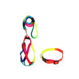 Pet Harness Pet Collar with Leash Set Dog Walking Vest for Cat Puppy