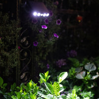 Motion Sensor Solar Lights Wall Lamp Garden Yard Light Outdoor Decor-White Light