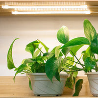 LED Grow Light Strip Bar Full Spectrum LED Grow Tube-1 Tube