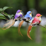 12-Piece Set Artificial Birds Fake Animal Simulation Feather Birds Home Garden Ornament Decoration