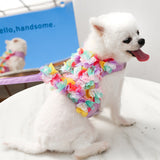 Pet Dog Harness with Leash Set-Large Purple