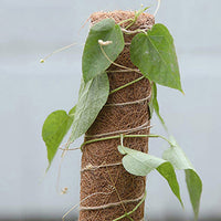 Coconut Moss Stake Poles Indoor Climbing Plant Extension Support Set