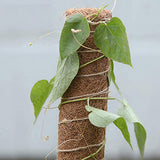 Coconut Moss Stake Poles Indoor Climbing Plant Extension Support Set