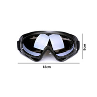 2pcs Ski Goggles