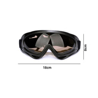 2pcs Ski Goggles