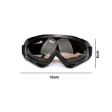 2pcs Ski Goggles