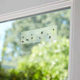 20PCS Clear Window Sticker Fly Trap Insect Trap Sticky Bug Catchers